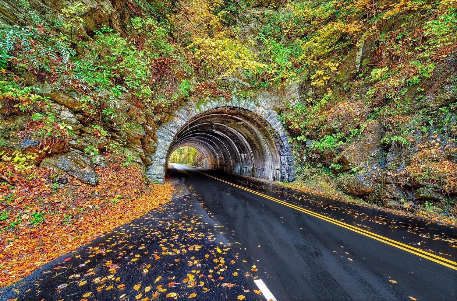 A Stones Throw, You Get 1089 Free Attraction Tickets Per Paid Day, Dollywood And Much More! Pigeon Forge Buitenkant foto