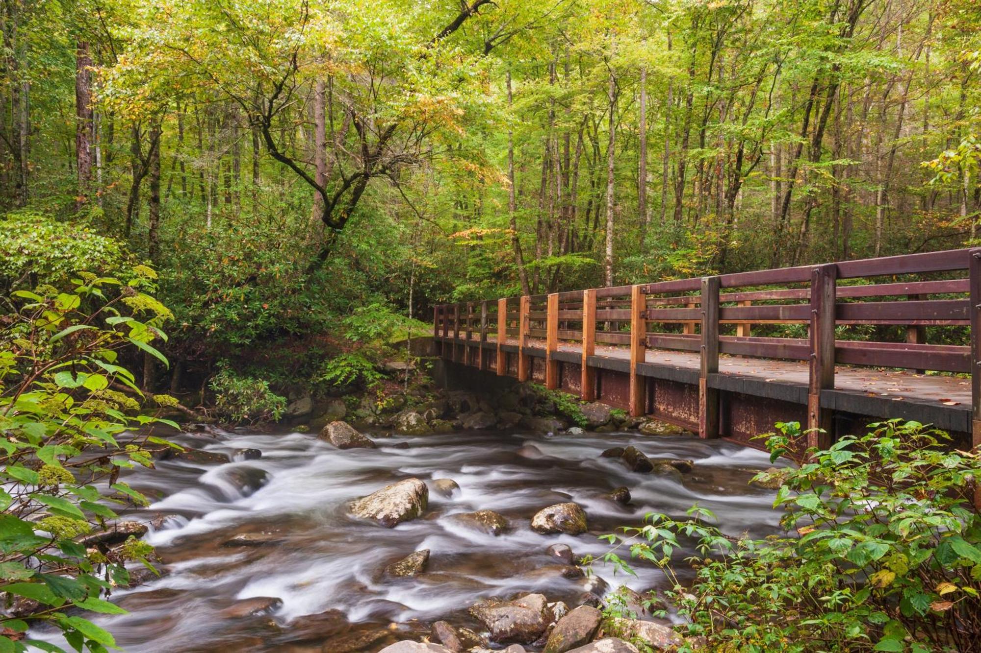 A Stones Throw, You Get 1089 Free Attraction Tickets Per Paid Day, Dollywood And Much More! Pigeon Forge Buitenkant foto