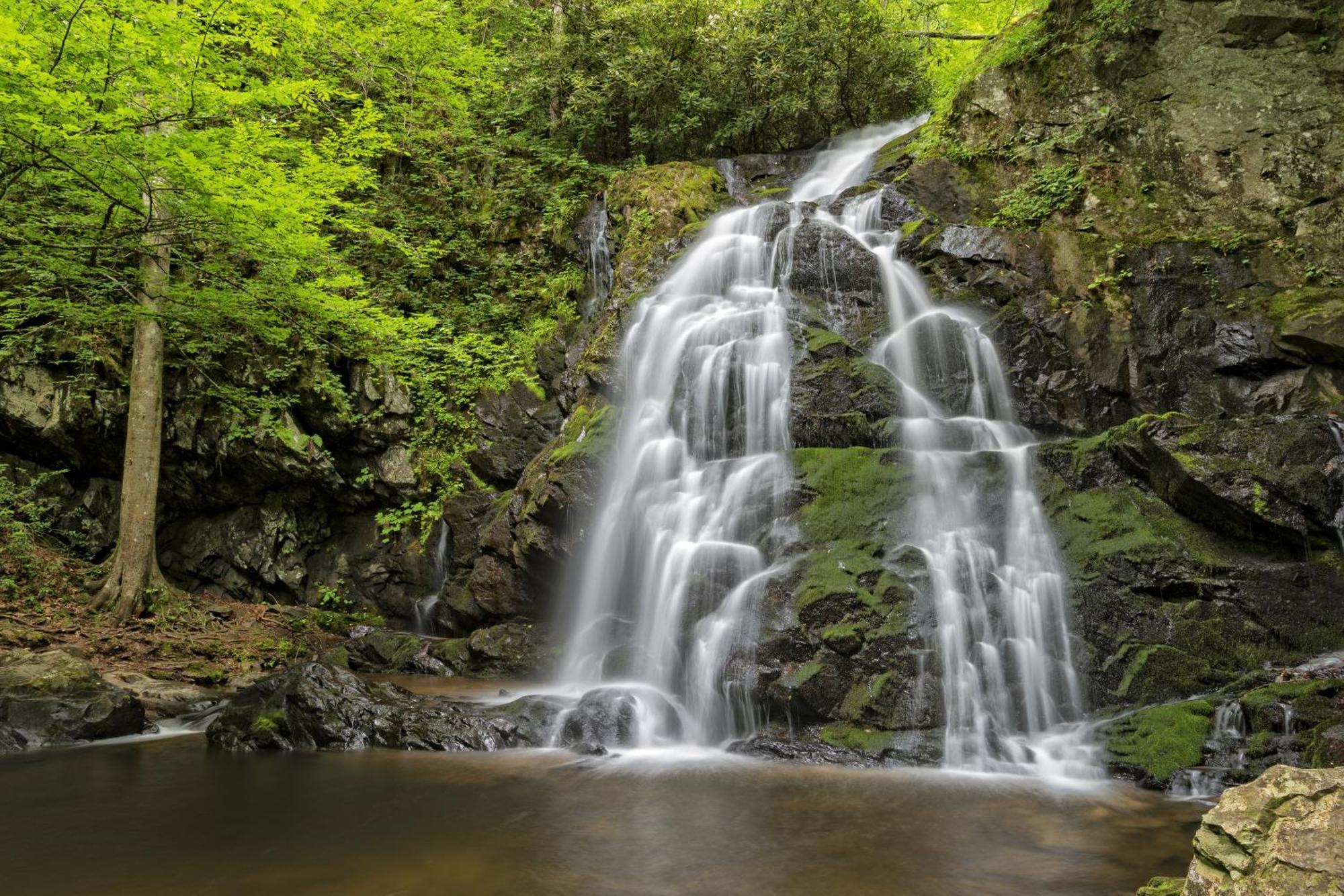 A Stones Throw, You Get 1089 Free Attraction Tickets Per Paid Day, Dollywood And Much More! Pigeon Forge Buitenkant foto
